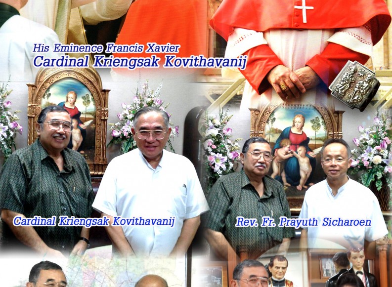 TAILANDIA – Cardenal – OMAEC